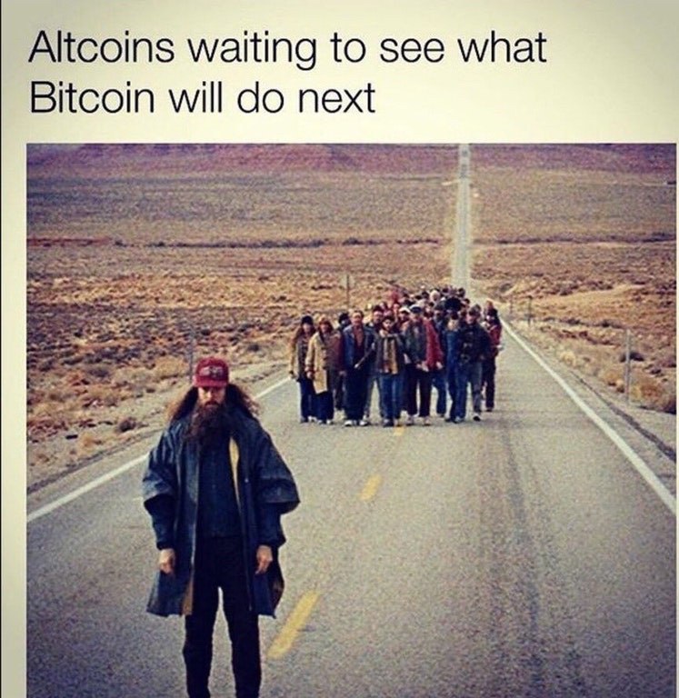 Altcoins Waiting To See What Bitcoin Will Do Next - Crypto Memes