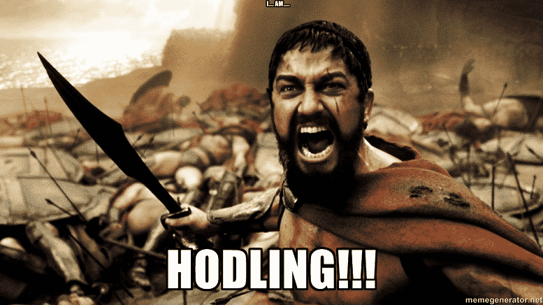 HODLING - Crypto Memes
