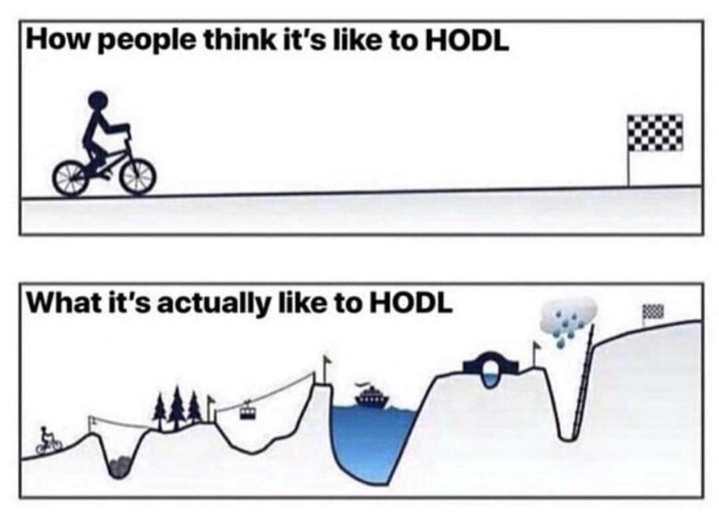 How People Think Its Like To HODL vs What Its Actually Like To HODL - Crypto Memes