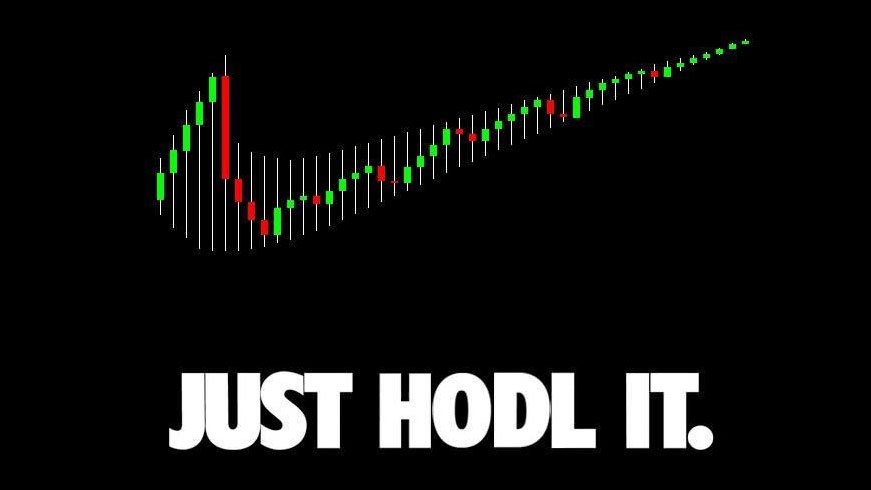 Just HODL It - Crypto Memes