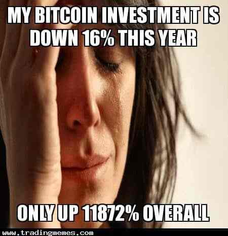 My Bitcoin Investment Is Down 16 Percent This Year But Only Up 11872 Percent Overall - Crypto Memes
